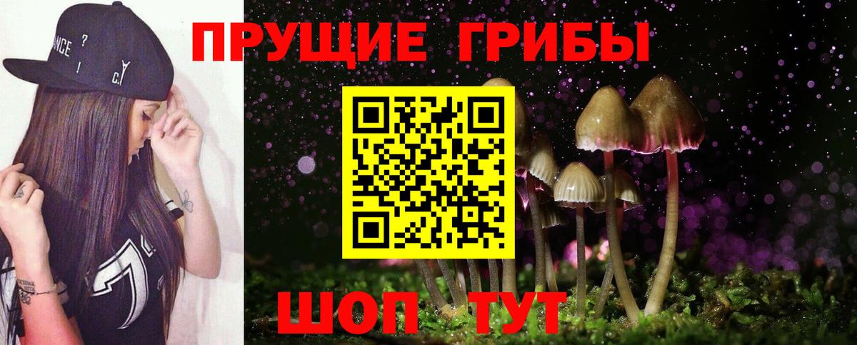 Галлюциногенные грибы мухоморы  Вход с VPN  купить наркотики сайты  Серпухов  Псилоцибиновые грибы Magic Shrooms 